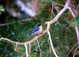 2209 Via Spes Nostra Street - Photo 31