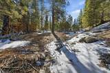 2209 Via Spes Nostra Street - Photo 7