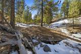 2209 Via Spes Nostra Street - Photo 8