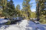 2209 Via Spes Nostra Street - Photo 9
