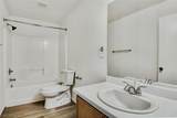11669 Elianto Street - Photo 23
