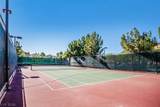 505 Punto Vallata Drive Drive - Photo 44