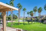 505 Punto Vallata Drive Drive - Photo 49