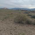 2550 Carnation Way - Photo 3