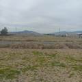 2550 Carnation Way - Photo 4