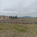 2550 Carnation Way - Photo 5