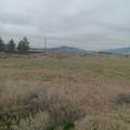2550 Carnation Way - Photo 6