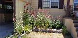 561 Main Street - Photo 4