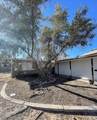 3955 Ventura Way - Photo 33