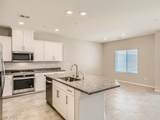 10748 Wild Poppy Avenue - Photo 10