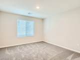 10748 Wild Poppy Avenue - Photo 22