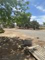 1461 Elderberry Street - Photo 19