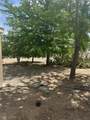 1461 Elderberry Street - Photo 20