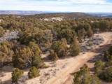  Pinion Pines - Photo 10