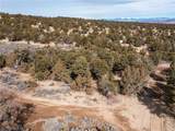  Pinion Pines - Photo 11