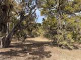  Pinion Pines - Photo 13