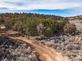  Pinion Pines - Photo 8