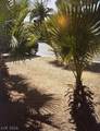 4760 Woodridge Road - Photo 6