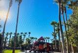 43 Pangloss Street - Photo 52
