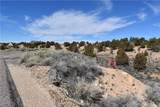 1825 Eagle Ridge Circle - Photo 5