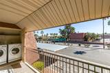 5060 Indian River Drive - Photo 30