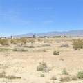 1650 Eaglewing Street - Photo 1