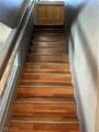 954 Orchid Vine Court - Photo 8