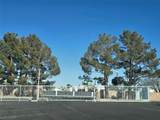 4839 Torrey Pines Drive - Photo 20