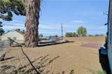 1421 Norman Avenue - Photo 46