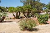 4941 Black Bear Road - Photo 45