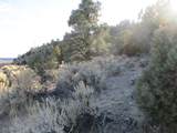  Nv Hwy 322 (30.15 Ac) - Photo 4