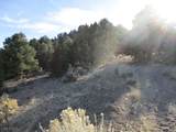  Nv Hwy 322 (30.15 Ac) - Photo 7
