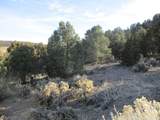  Nv Hwy 322 (30.15 Ac) - Photo 8