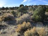  Nv Hwy 322 (10.012 Ac) - Photo 2