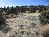  Nv Hwy 322 (10.012 Ac) - Photo 5