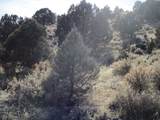  Nv Hwy 322 (10.012 Ac) - Photo 7