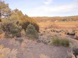  Nv Hwy 322 (9.86 Ac) - Photo 6
