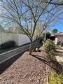 2459 Domingo Street - Photo 66