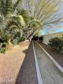 2459 Domingo Street - Photo 67