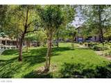 45 Maleena Mesa Street - Photo 27