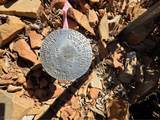  Lovell Summit-Coal Springs-Lot 4 - Photo 5