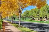 29 Montelago Boulevard - Photo 89