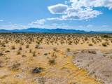  0 Paiute - Photo 22