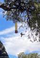  Paul Warner Way - Photo 24