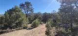  Paul Warner Way - Photo 8
