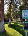 4050 Pacific Harbors Drive - Photo 18