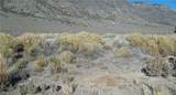  5 Acres in Newark Valley! - Photo 8