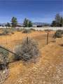 1580 Thousandaire Boulevard - Photo 4