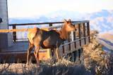  Sir Turner Drive Apn#095-01-711-034 - Photo 34