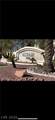7400 Flamingo Road - Photo 23